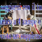 Al Podere