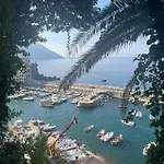 Oasi