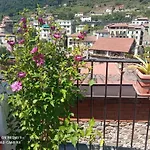 B&B Le Terrazze