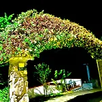 Casa Vacanza Paola Aurigo