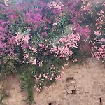 Casa Vacanze Gialloblubis