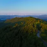 Terra Del Bosco Agriturismo