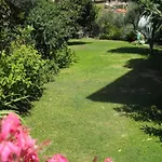Agrodolce