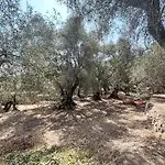 Holiday Home Casa Simona - Dol134 By Interhome