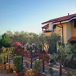 Salvia E Rosmarino - Affittacamere In Liguria