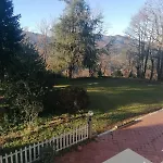 Le Camelie 2 Di Francesca