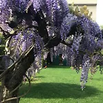 Villa Marlene B&B