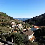 Dagli Ulivi Al Mare