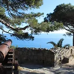 Le Mimose Garden