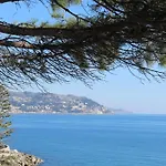 Le Mimose Garden