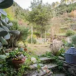 Il Limoneto Dei Cinque Sensi,Apartment With Garden