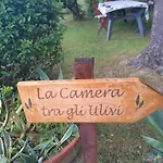 La Camera Tra Gli Ulivi Dream Finale