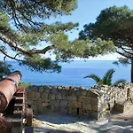 Le Mimose Terrace