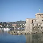 Il Pitosforo