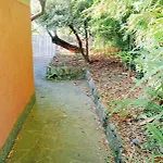 Terrazzo Sul Mare