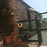 Maremonti