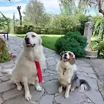 Il Giardino Del Nespolo