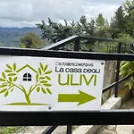 La Casa Degli Ulivi