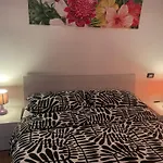 Casa Unzaja22
