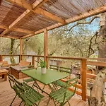 Glamping Degli Ulivi