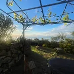 Ariadimare Guest House
