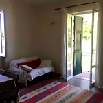 Relaxation Oasis In The Greenery