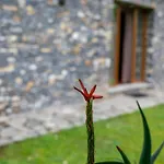 Collina E Mare