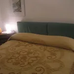 Il Gatto Zorba