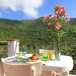 B&B Villa Mare E Ulivi