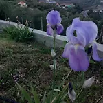 La Casa Di Lele