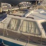 Seagull
