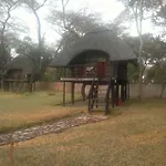 The Tree Lodge At Sikumi