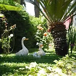 Villa Valery In Sanremo