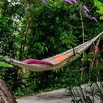 La Casa Nel Bosco-Camera Con Giardino Vicino Lerici