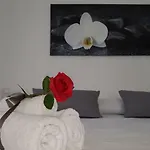 Il Nido Della Zia
