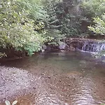 La Bargonella