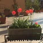 Casa Delle Ortensie