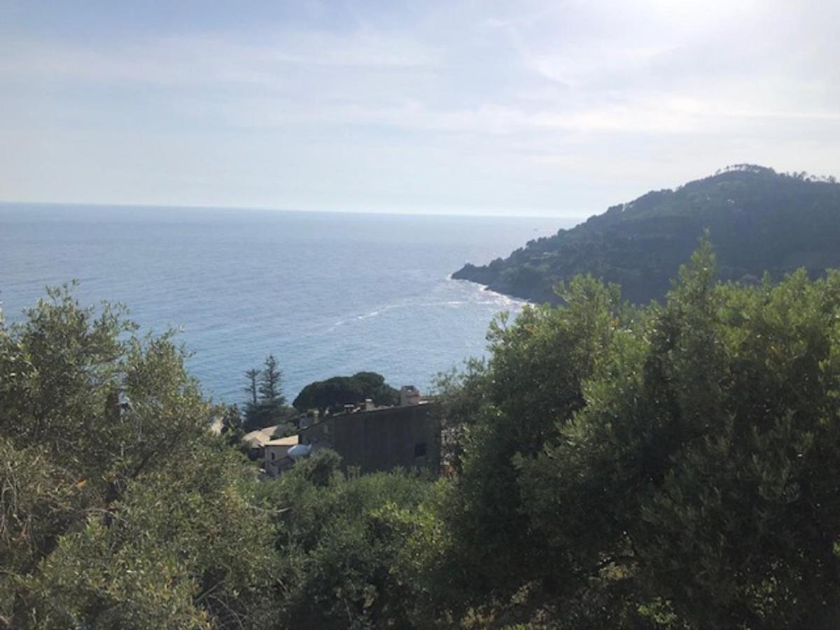 Apartament Casa Orchidea - Vista Mare Meravigliosa