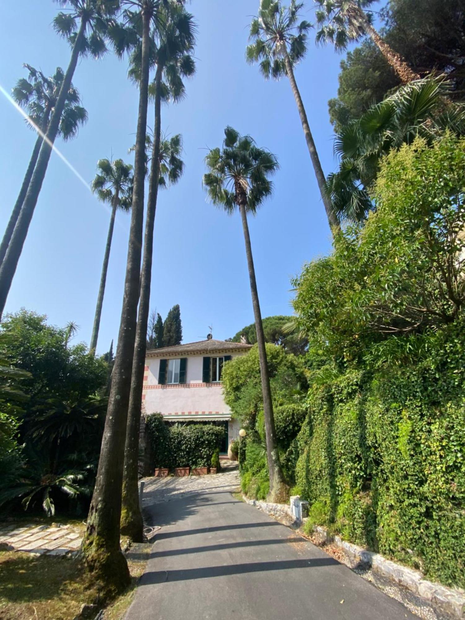 Casa Orsi - In San Michele * Rapallo
