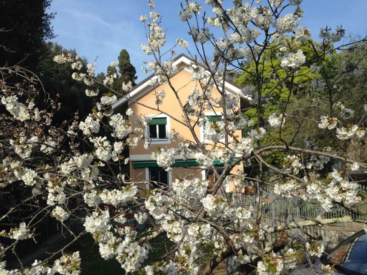 La Rosa Segreta 3* Генуя